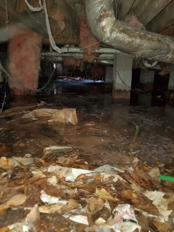 Crawl space flood assessment for Commercial Water Damage Restoration in Elmhurst