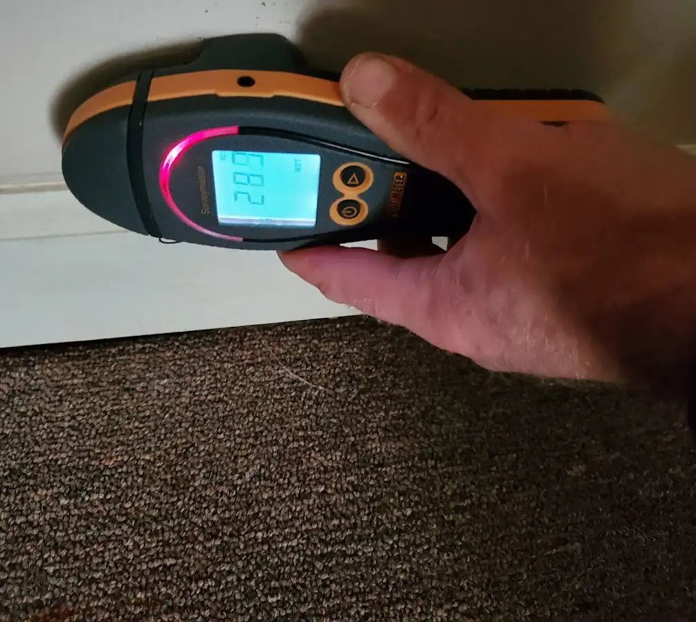 Moisture detection at baseboard during Sewage Cleanup & Sanitation in Elmhurst